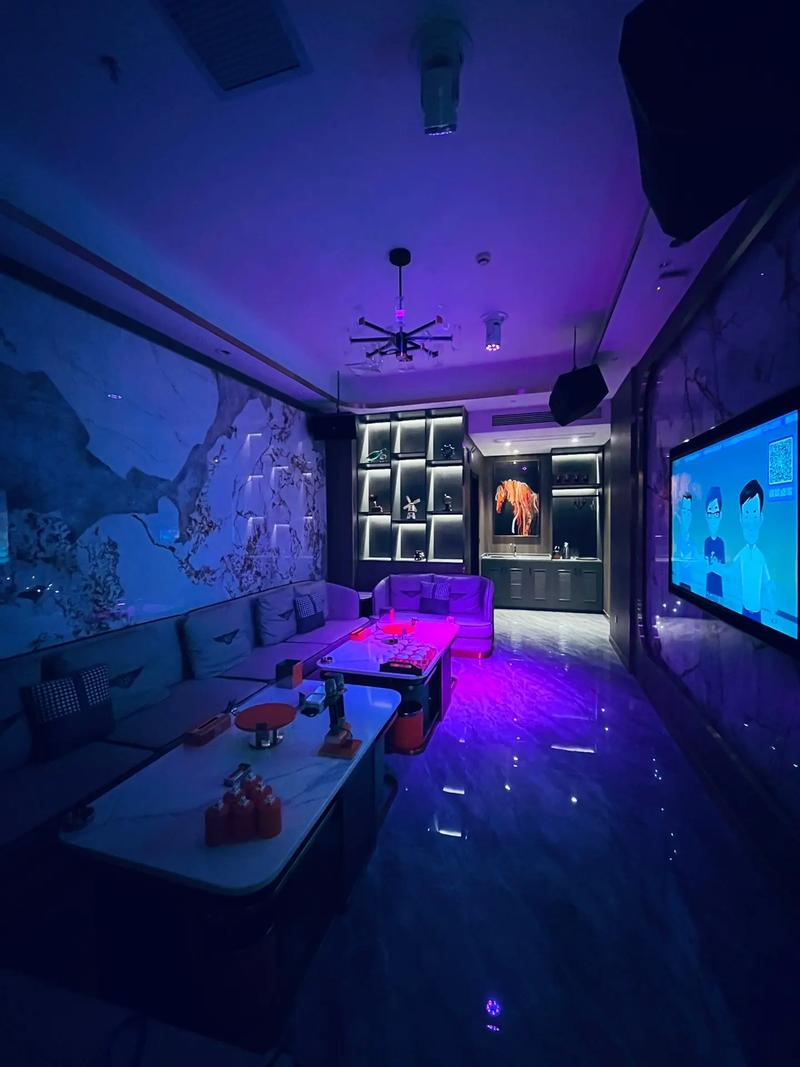 天津商务ktv，最佳商务消遣场所-西青区ktv预定